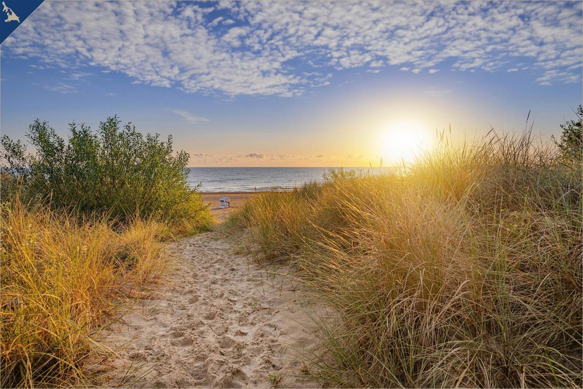 Dhh Am Gothenweg Dhh Anemone Villa Korswandt Bagian luar foto